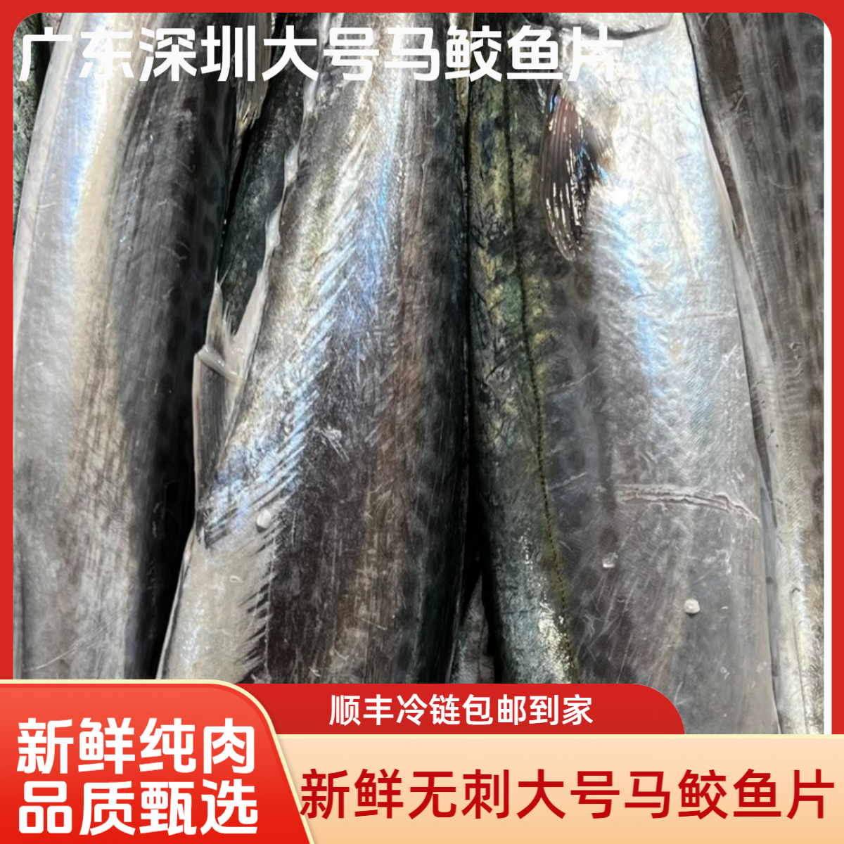 【顺丰冷链包邮】大号马鲛鱼片新鲜纯肉广东马鲛鱼去内脏