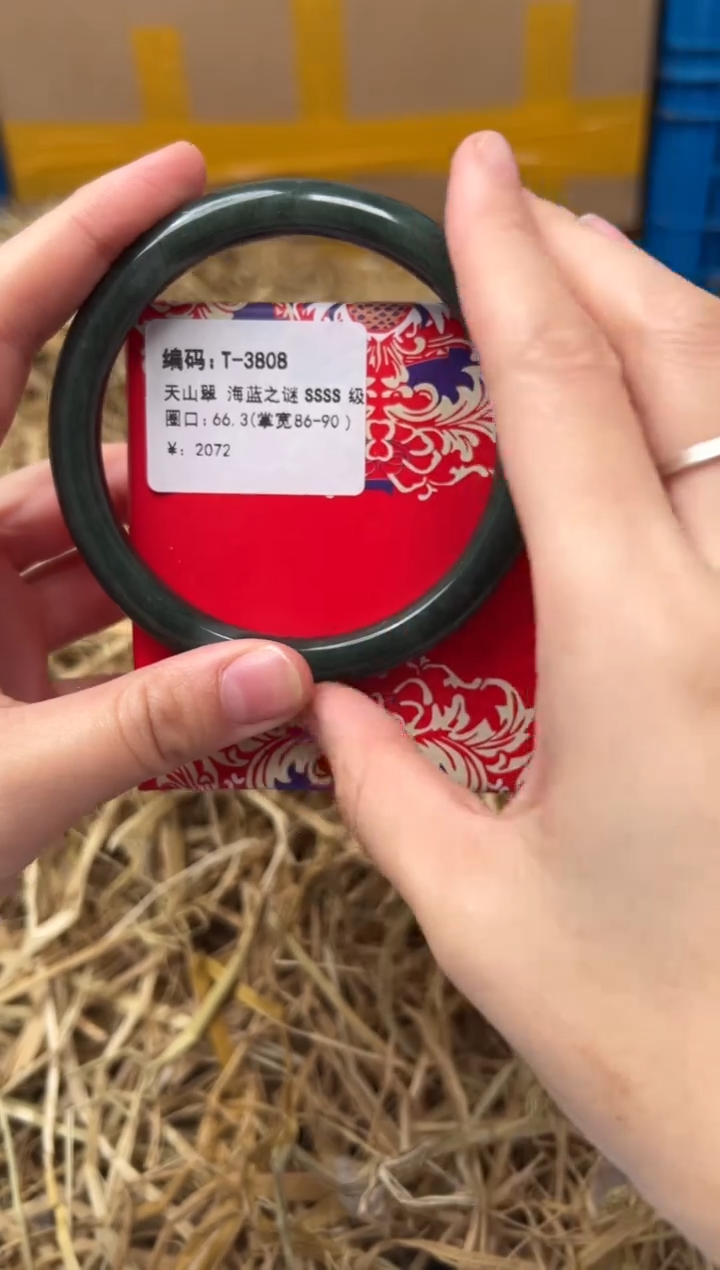 未镶嵌手镯石英质玉T-3808