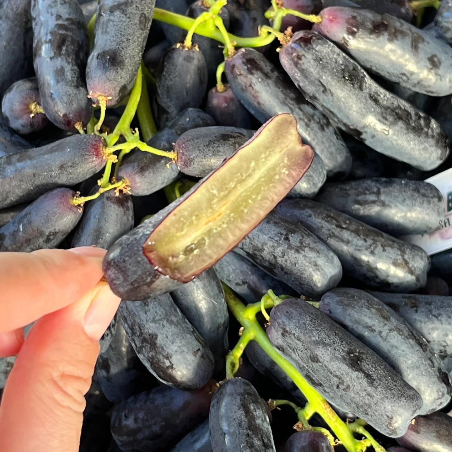 金手指葡萄特级果 脆甜无籽 当季新鲜水果云南省