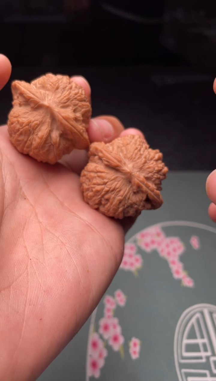 核桃a 320    血麒麟 40尺 