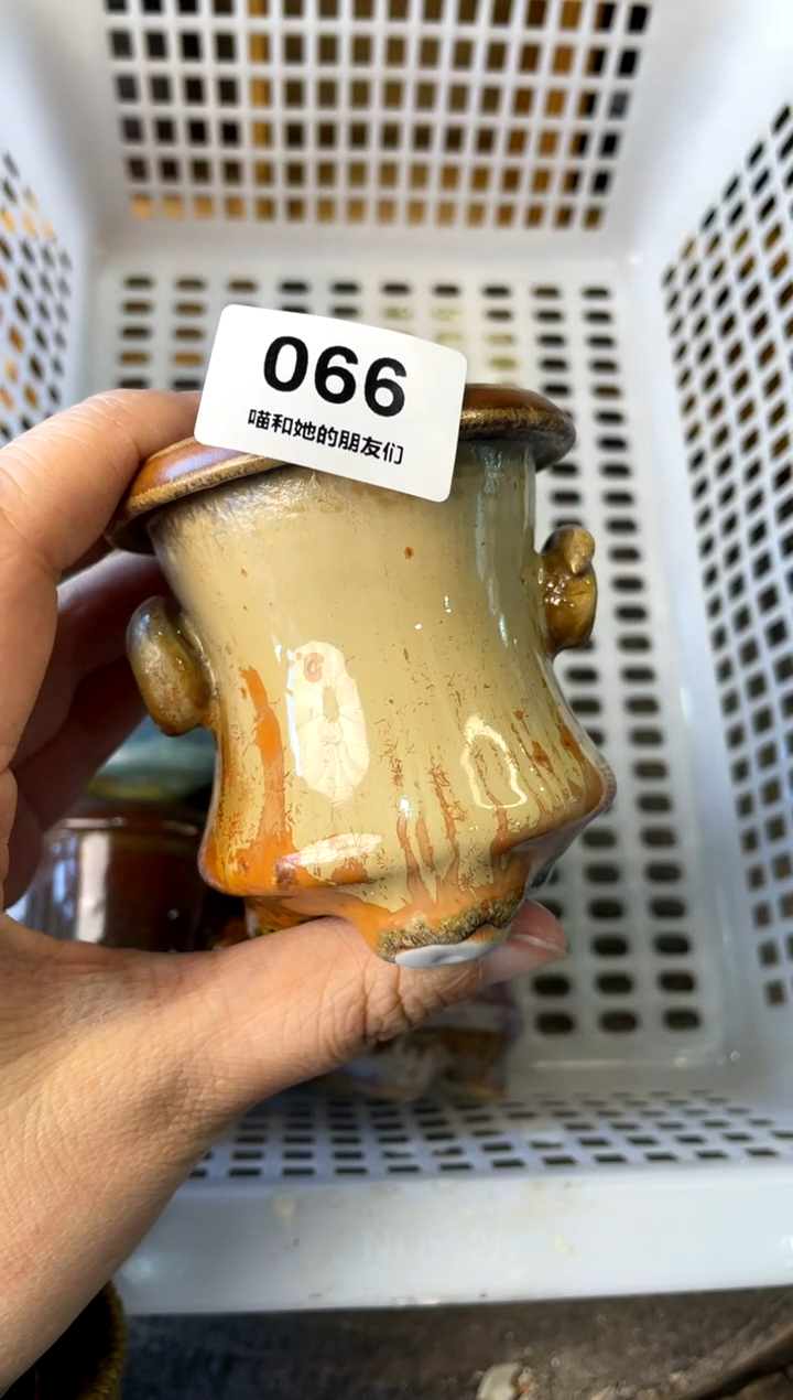 【闪购商品】陶066