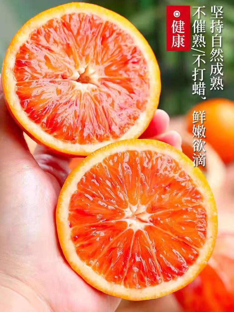 【村书水果】正宗四川塔罗科血橙新鲜水果现摘自然生长皮薄多汁酸甜