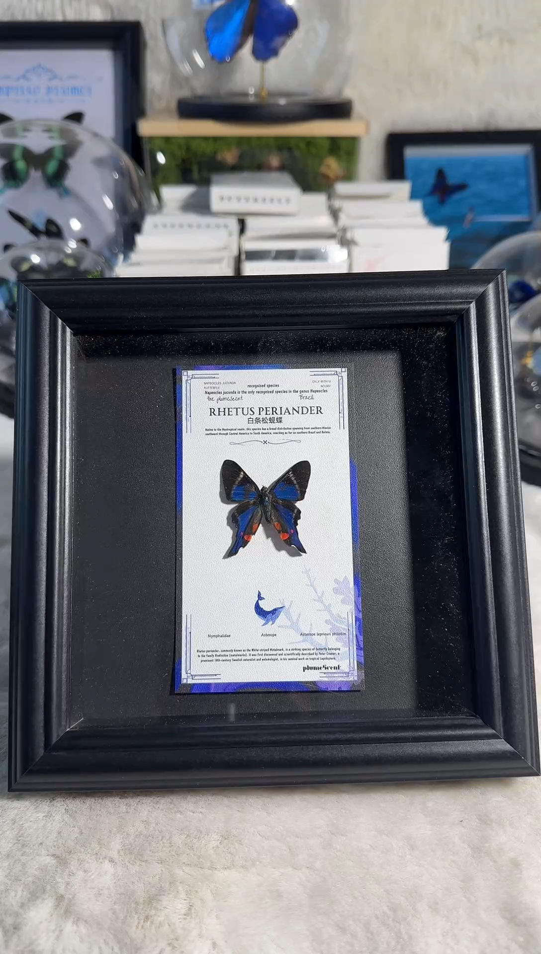 有机玻璃海洋之心精美相框