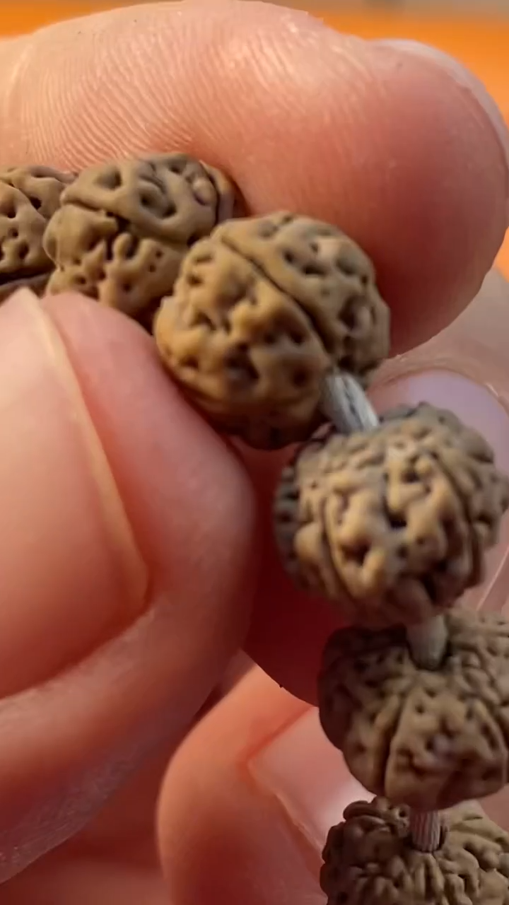 【闪购商品】金刚菩提吊坠灰皮一代老树王尺寸9m