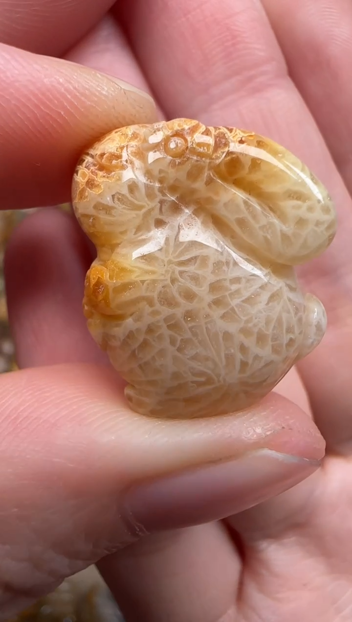 硅化珊瑚（珊瑚玉）未镶嵌颈饰384