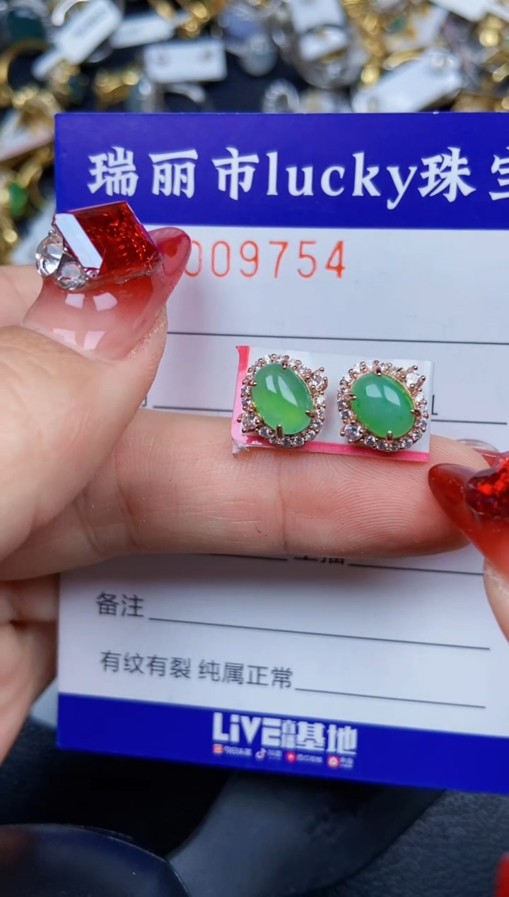 【闪购商品】翡翠颈饰银S925镶嵌9754