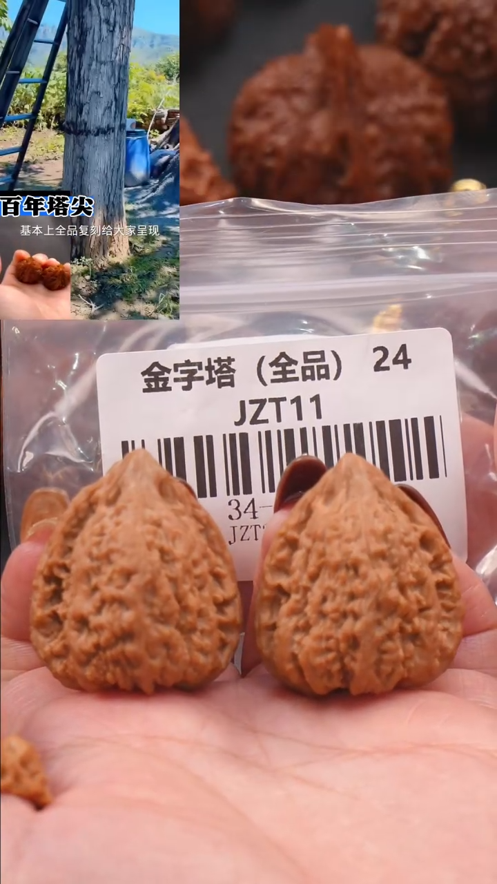 【闪购商品】文玩核桃吊坠34蚂蚁王金字塔*全品