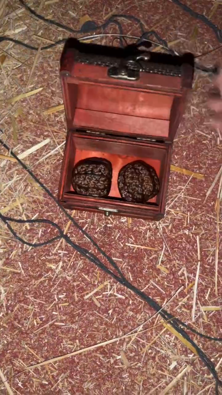 木闪购商品专属高端连