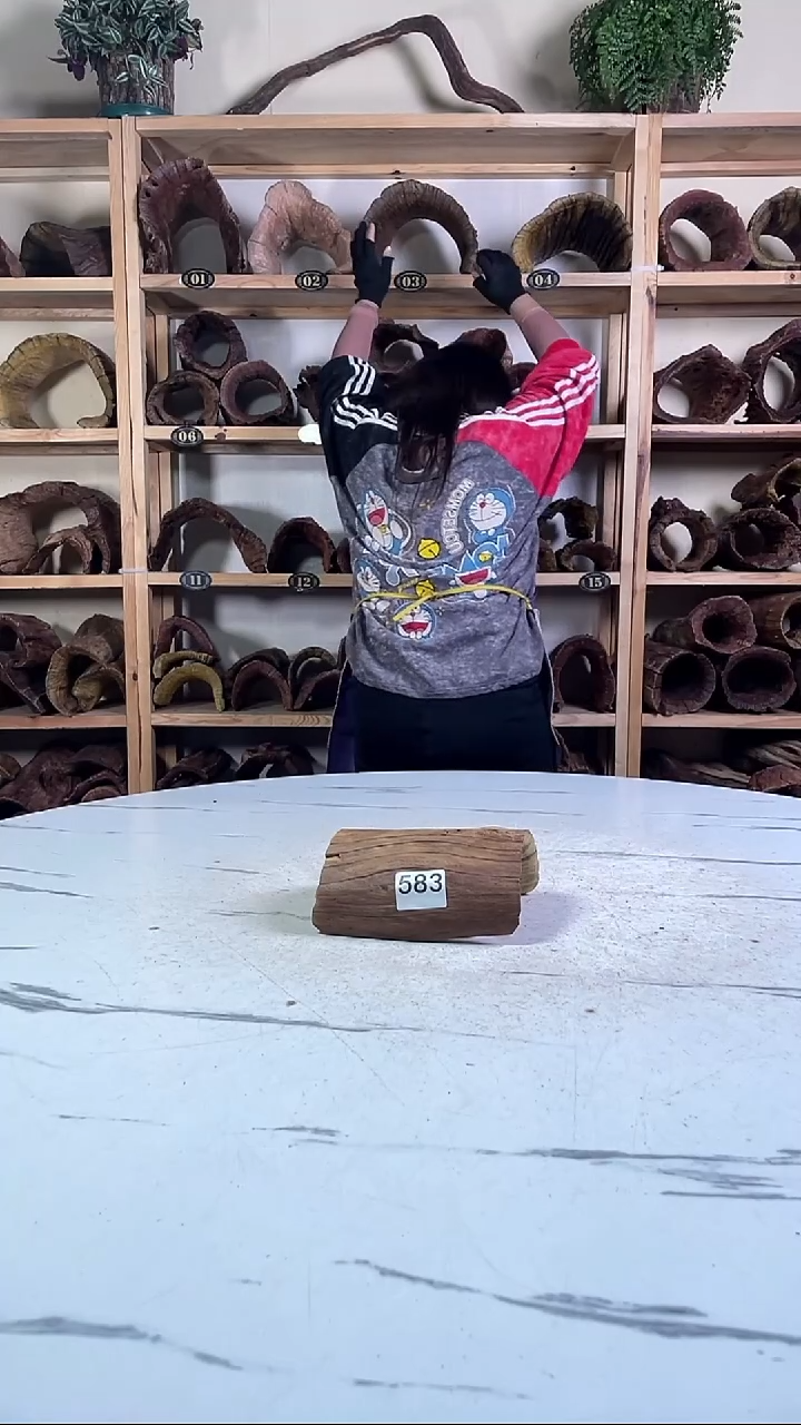 沐*云南紫柚木造景沉木583