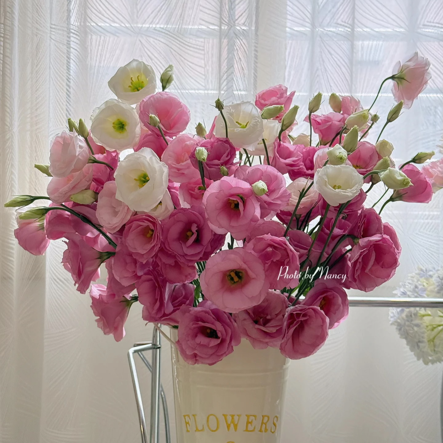 【AB级粉色洋桔梗】鲜花顺丰包邮厦门同城批发福建次日达