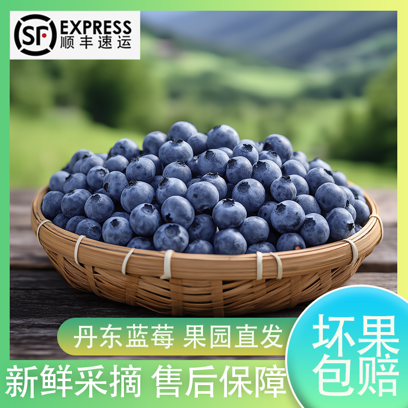 【4.6元/盒】12-20mm规格丹东蓝莓  顺丰包邮 孕妇孩子水果 脆甜新鲜 现摘现发 花青素100g/盒(BW-G)辽宁省