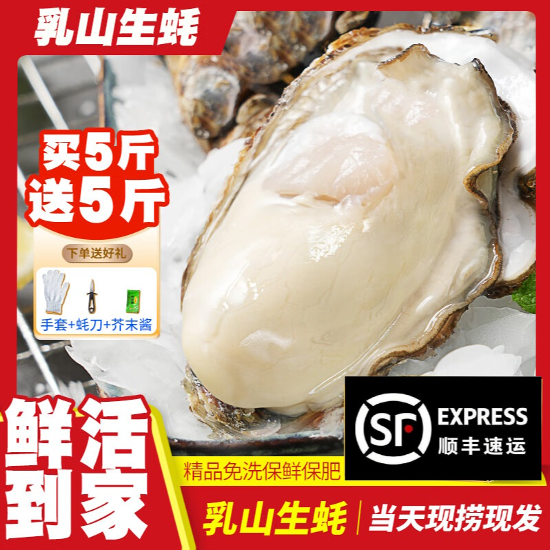 6-8【10斤礼盒装精品蚝王】乳山生蚝刺身级免洗鲜活顺丰次日达