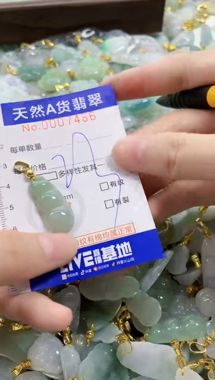 颈饰未镶嵌翡翠天然A货翡翠