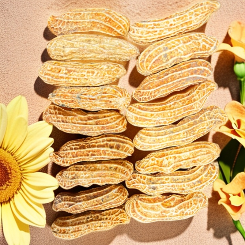 龙岩花生（七彩花生）500g解馋零食