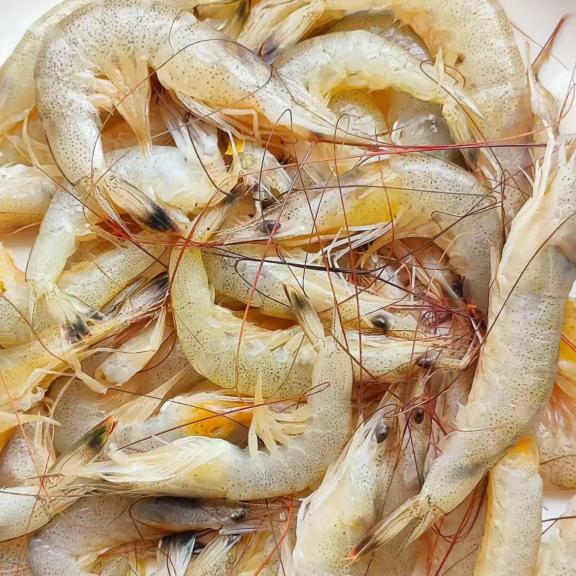 海捕热气黄虾 到手5斤 冰鲜发货  顺丰包邮（介意小.介意压伤忽拍）