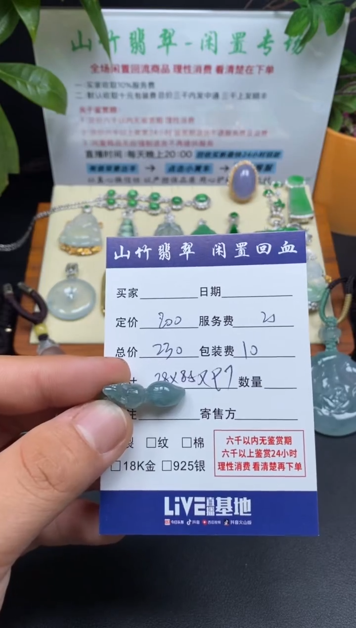 颈饰未镶嵌翡翠3001818