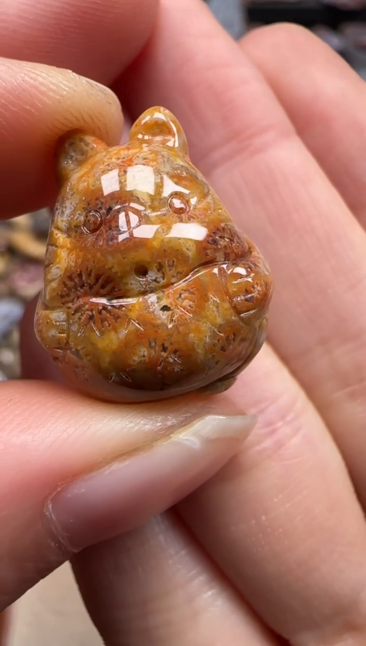 【闪购商品】硅化珊瑚（珊瑚玉）颈饰未镶嵌627