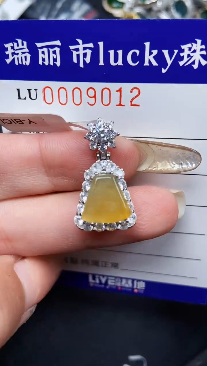 【闪购商品】翡翠颈饰银S925镶嵌9012