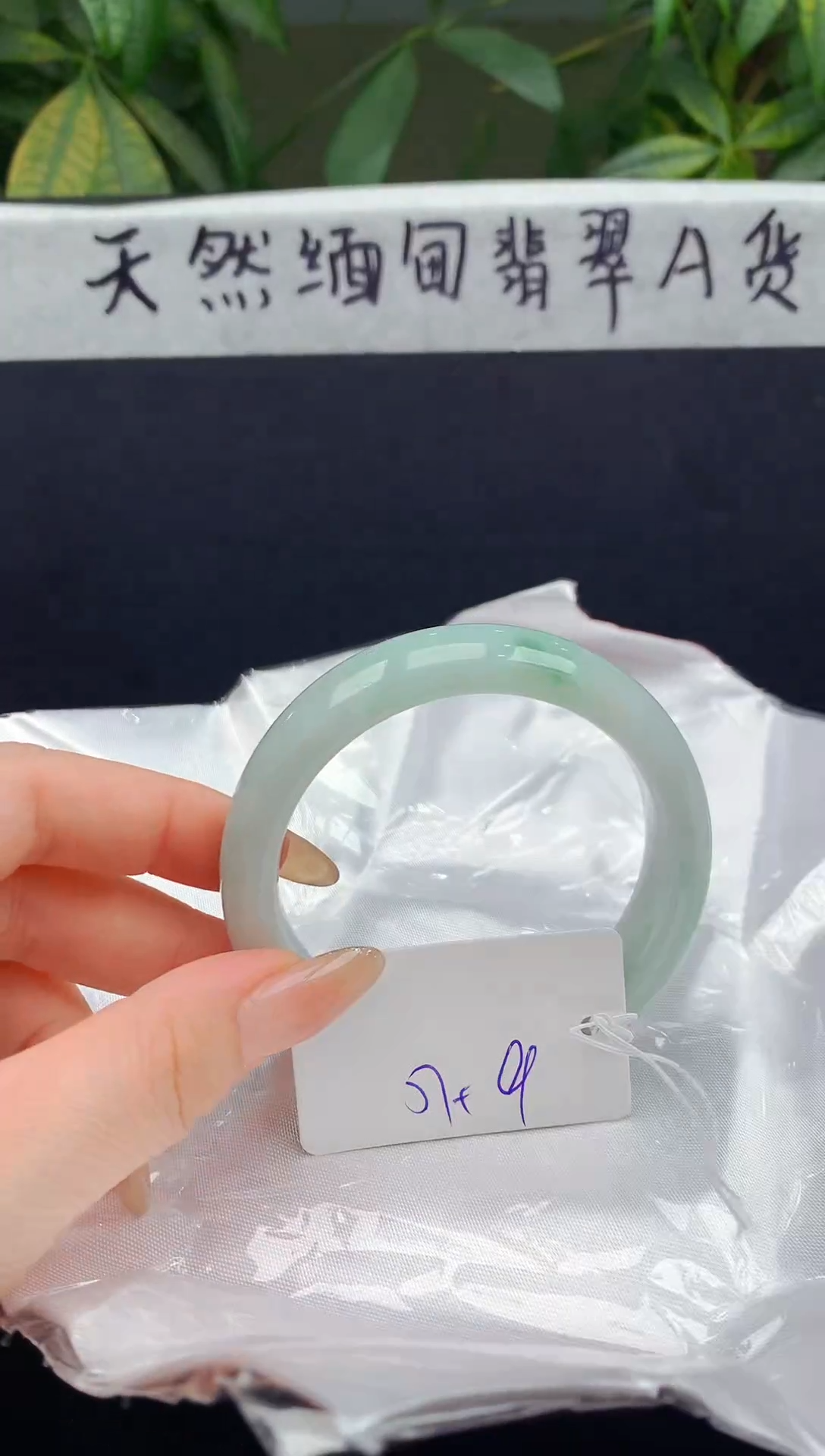 未镶嵌手镯翡翠124