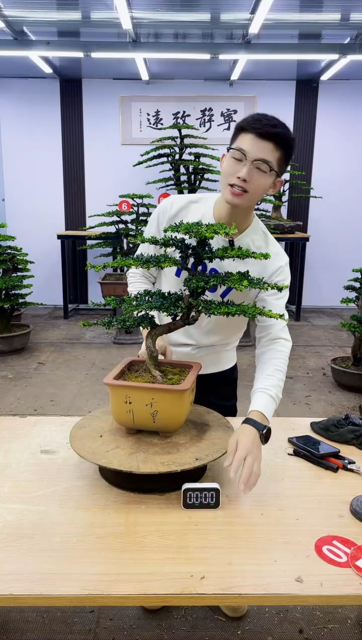 无花朵查*平0000000000000000