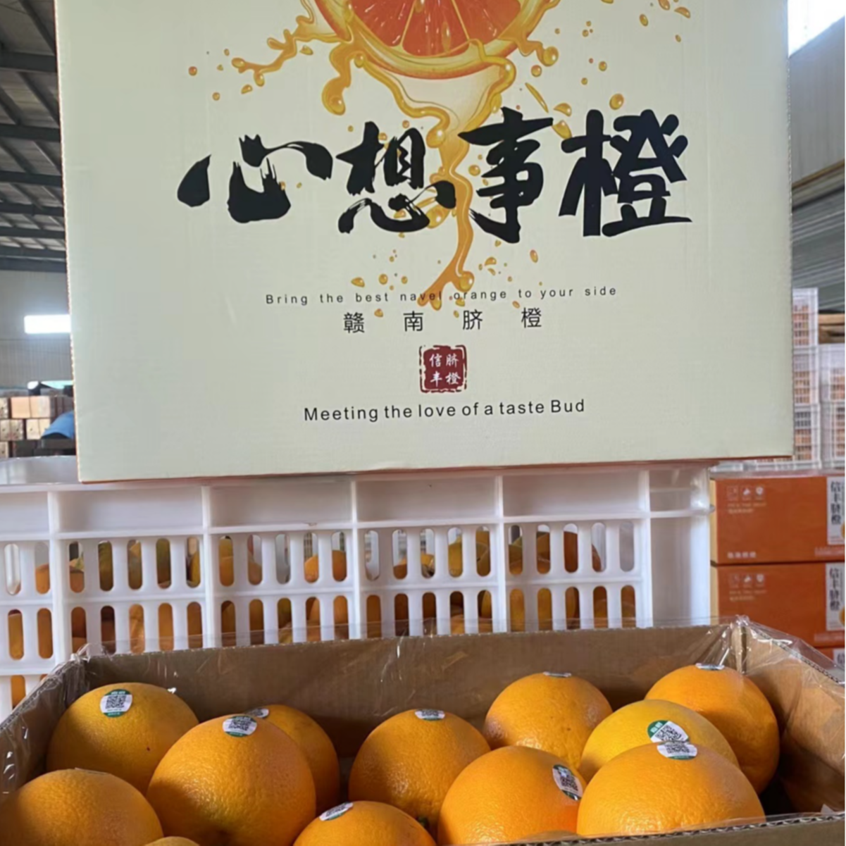 江西赣南脐橙新鲜当季水果甜橙整箱包邮脐橙核心产区（礼盒装）