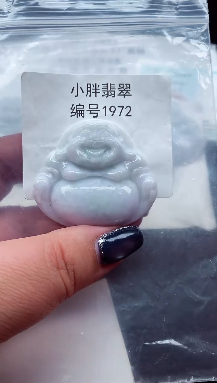 颈饰未镶嵌翡翠缅甸天然A货翡翠1972