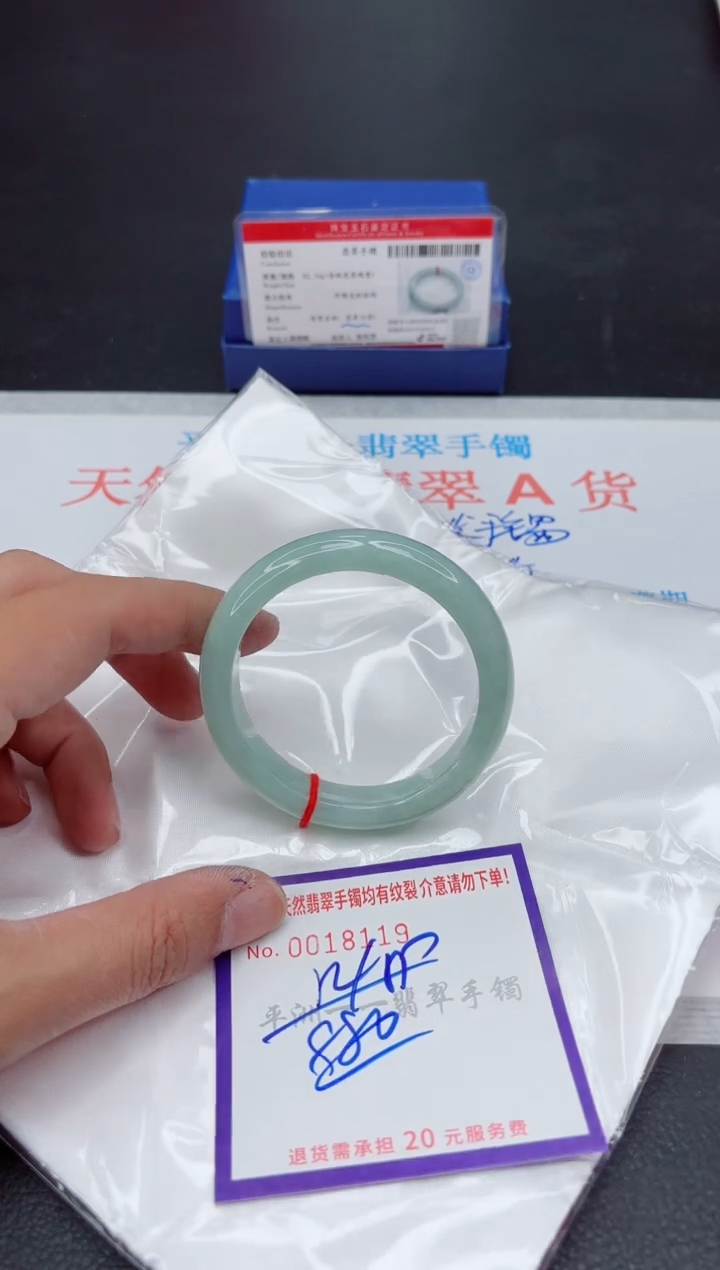 未镶嵌手镯翡翠1