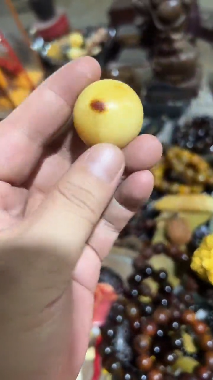 紫砂紫砂紫砂紫砂紫砂紫砂