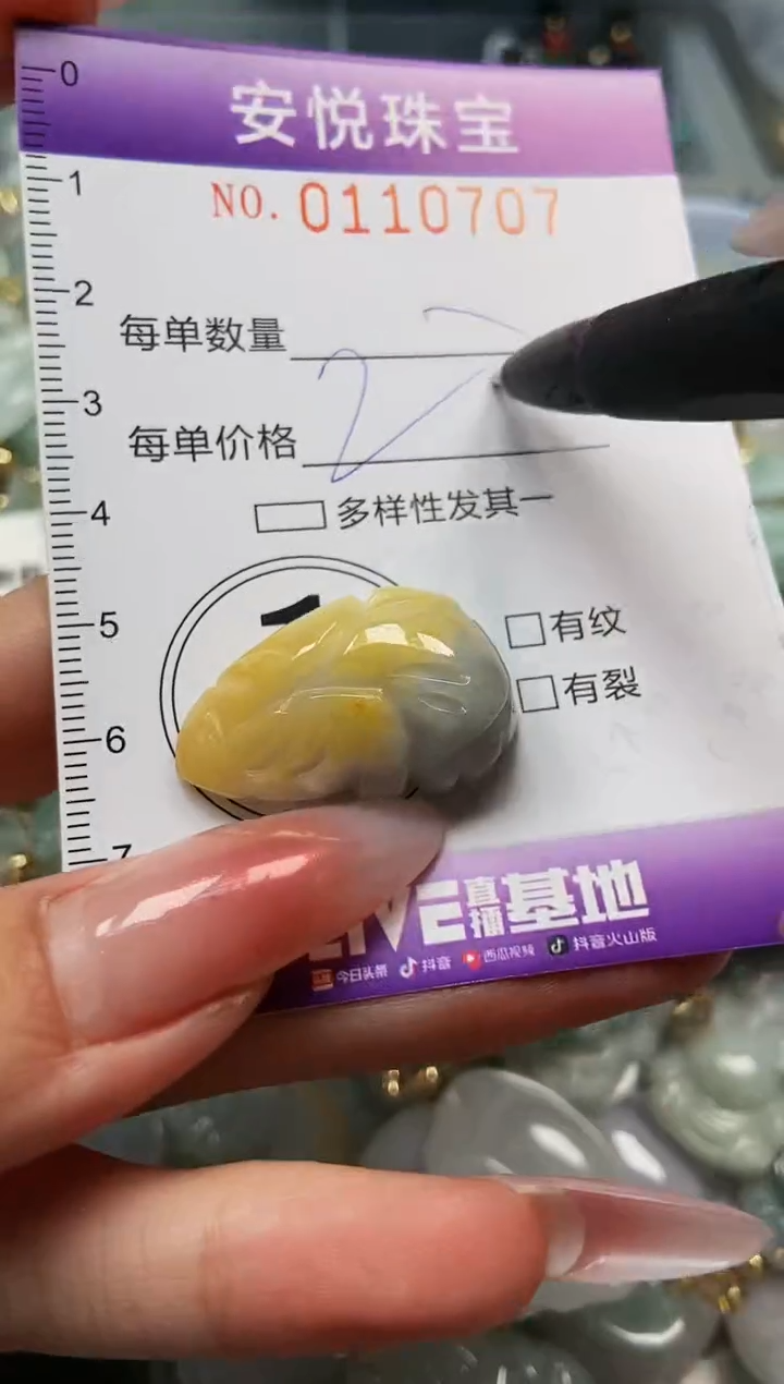 【闪购商品】翡翠颈饰未镶嵌闪购0110707