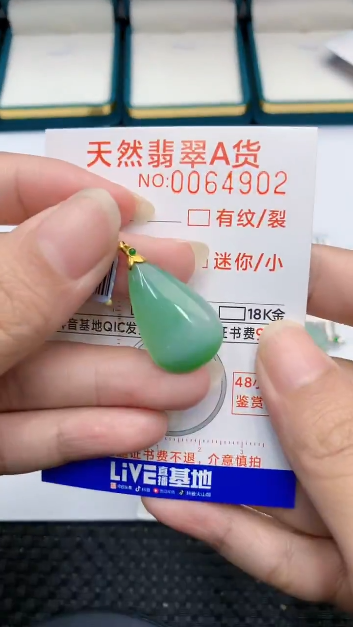 【闪购商品】翡翠颈饰18K金镶嵌            8