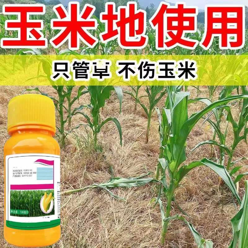 【大田玉米专用】正品保障玉米地苗后专用不伤玉米苗持久消除