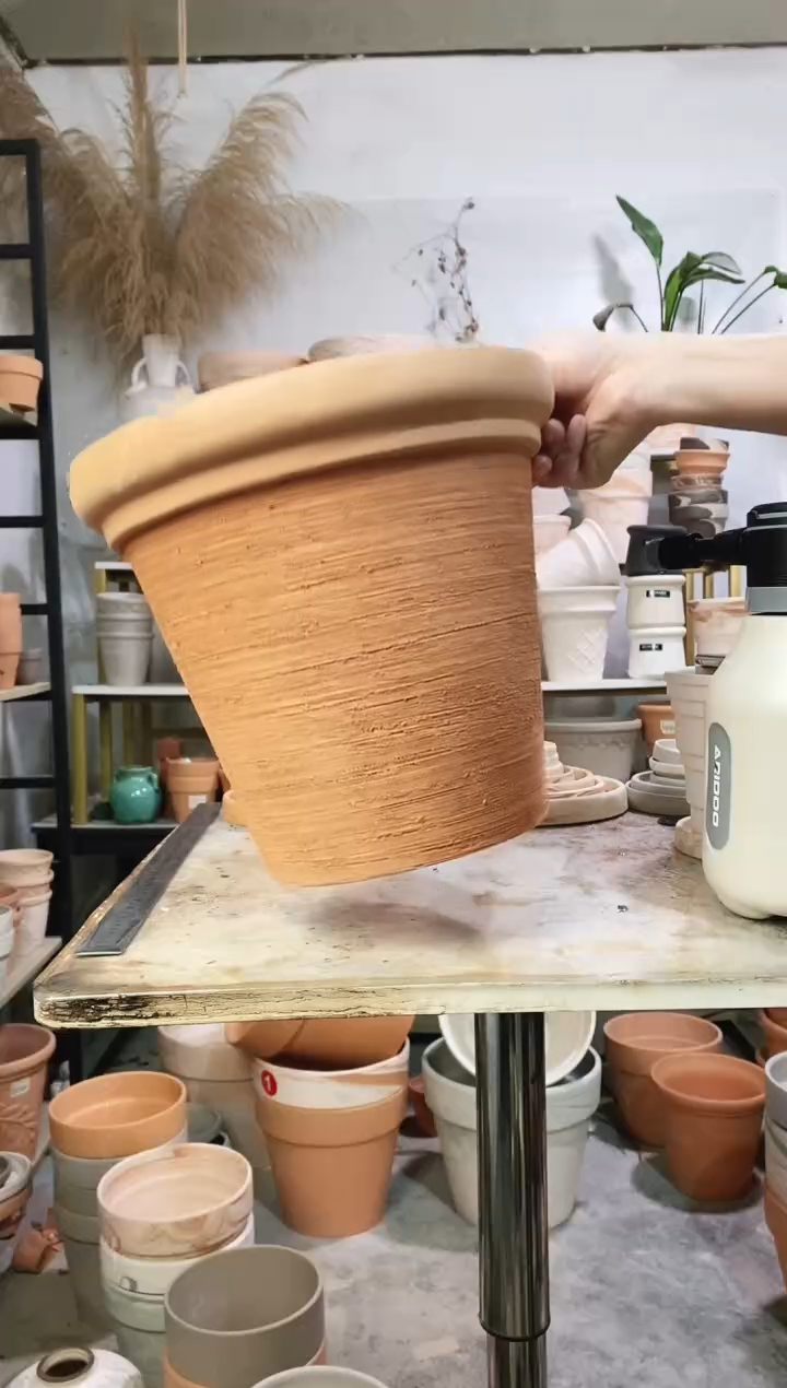 30*27红陶拉丝 1盆无托