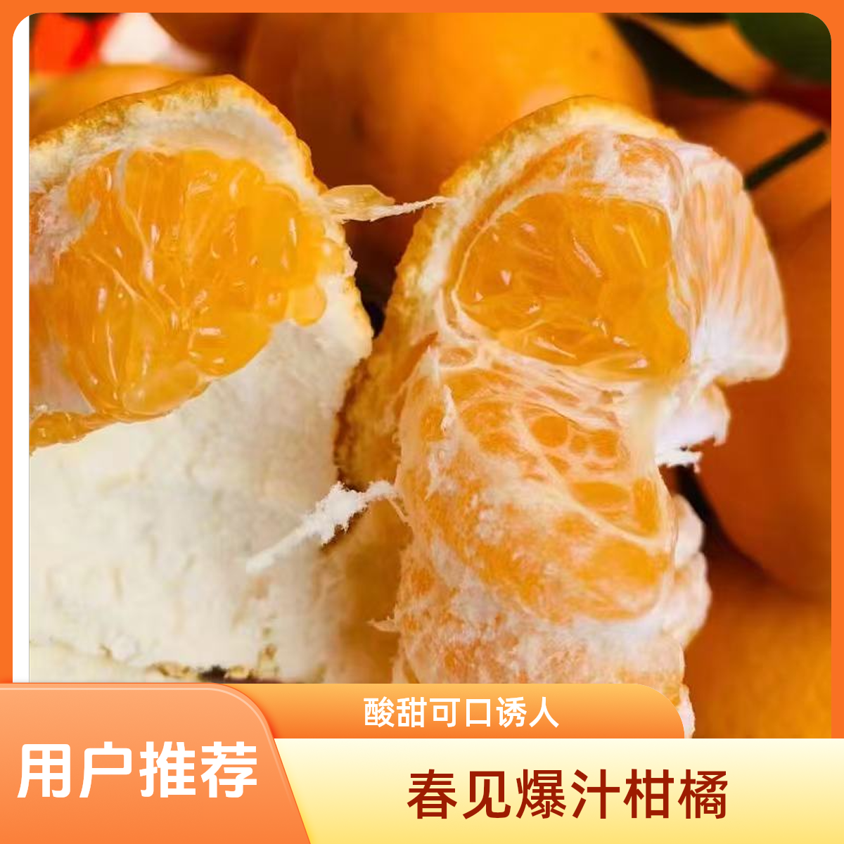 爆汁春见粑粑柑，9分甜1分酸