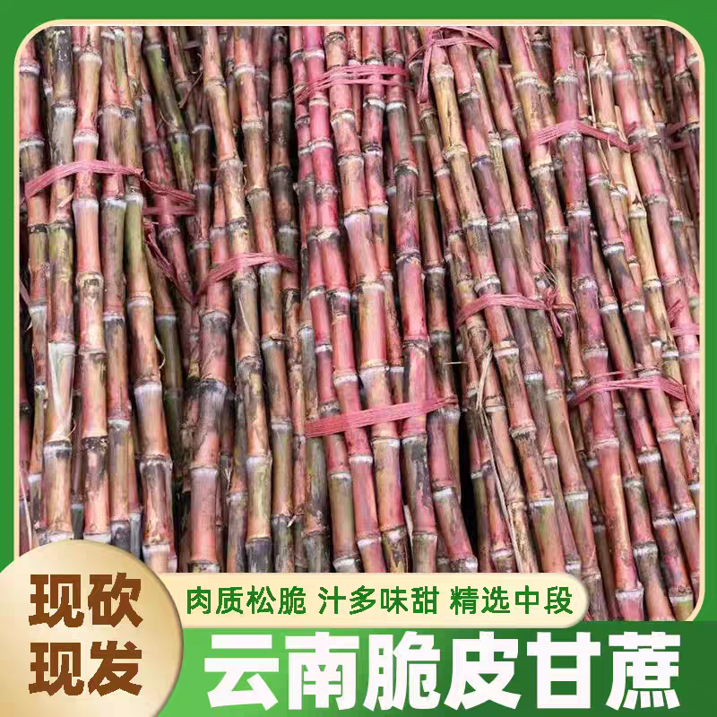 云南老品种红皮脆皮甘蔗现砍现发脆甜多汁爽口