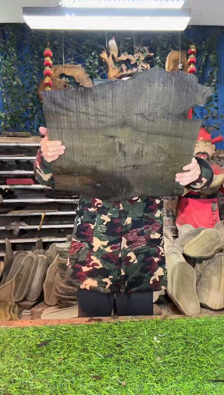 金丝楠小叶桢楠117