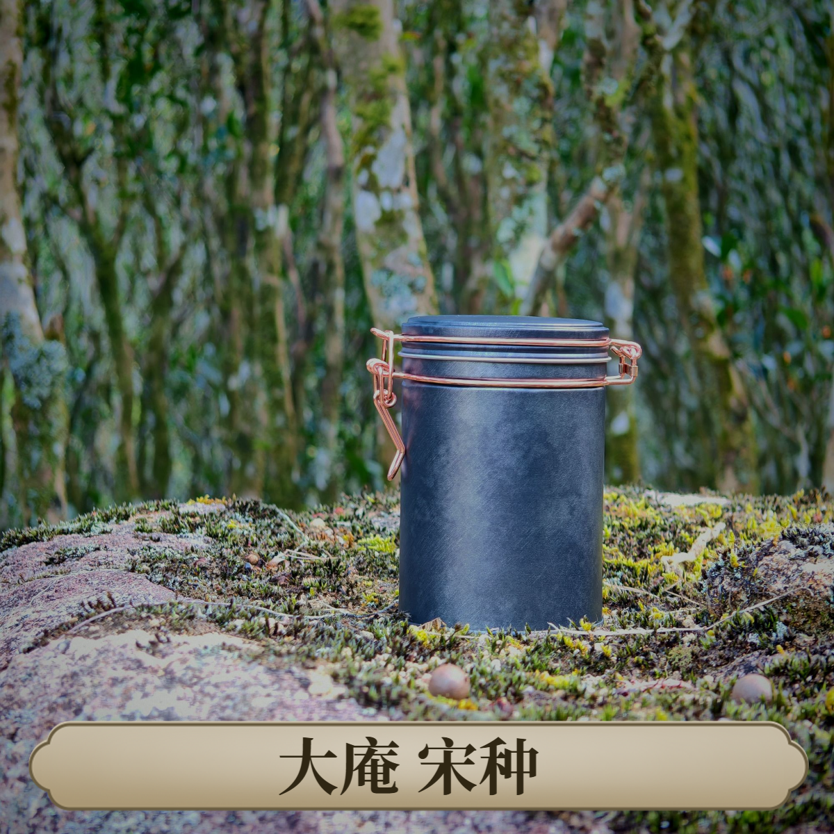 大庵｜老枞宋种 花香入骨 回甘带山韵苔藓感  100年+  双十二