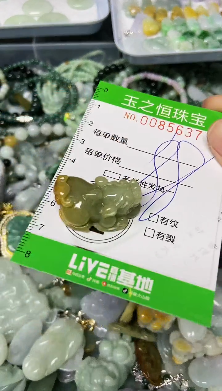 翡翠未镶嵌颈饰闪购0085637