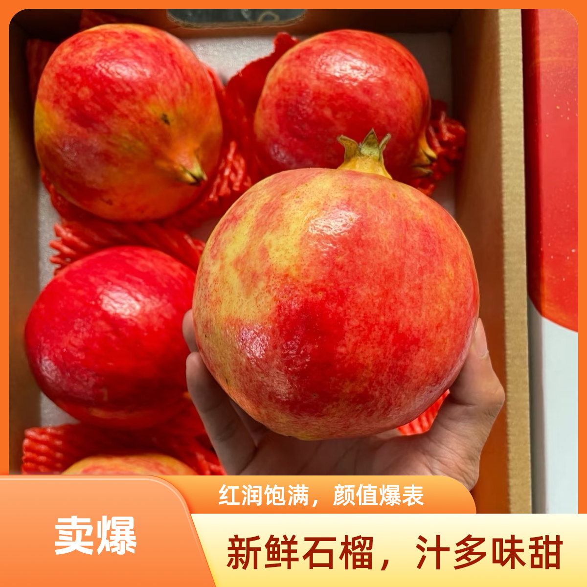 会理突尼斯软籽石榴/10斤装四川省