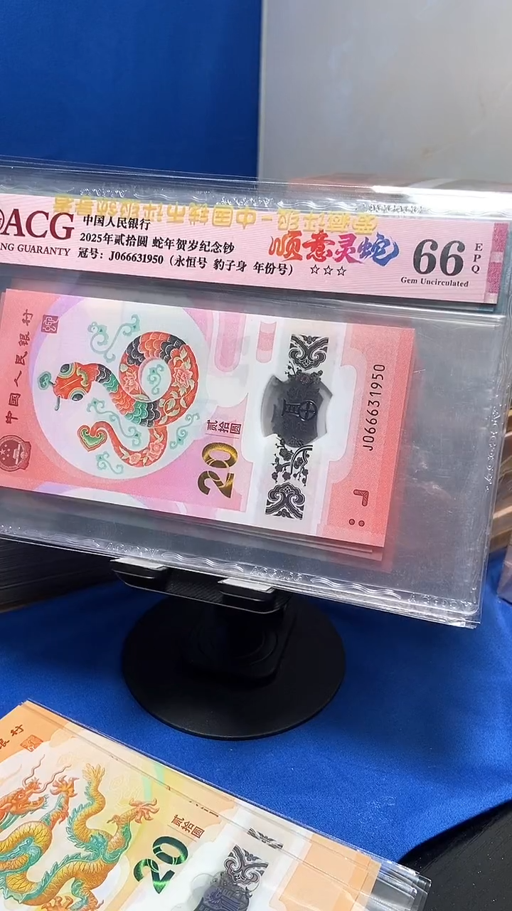 塑料永恒豹子身066631950