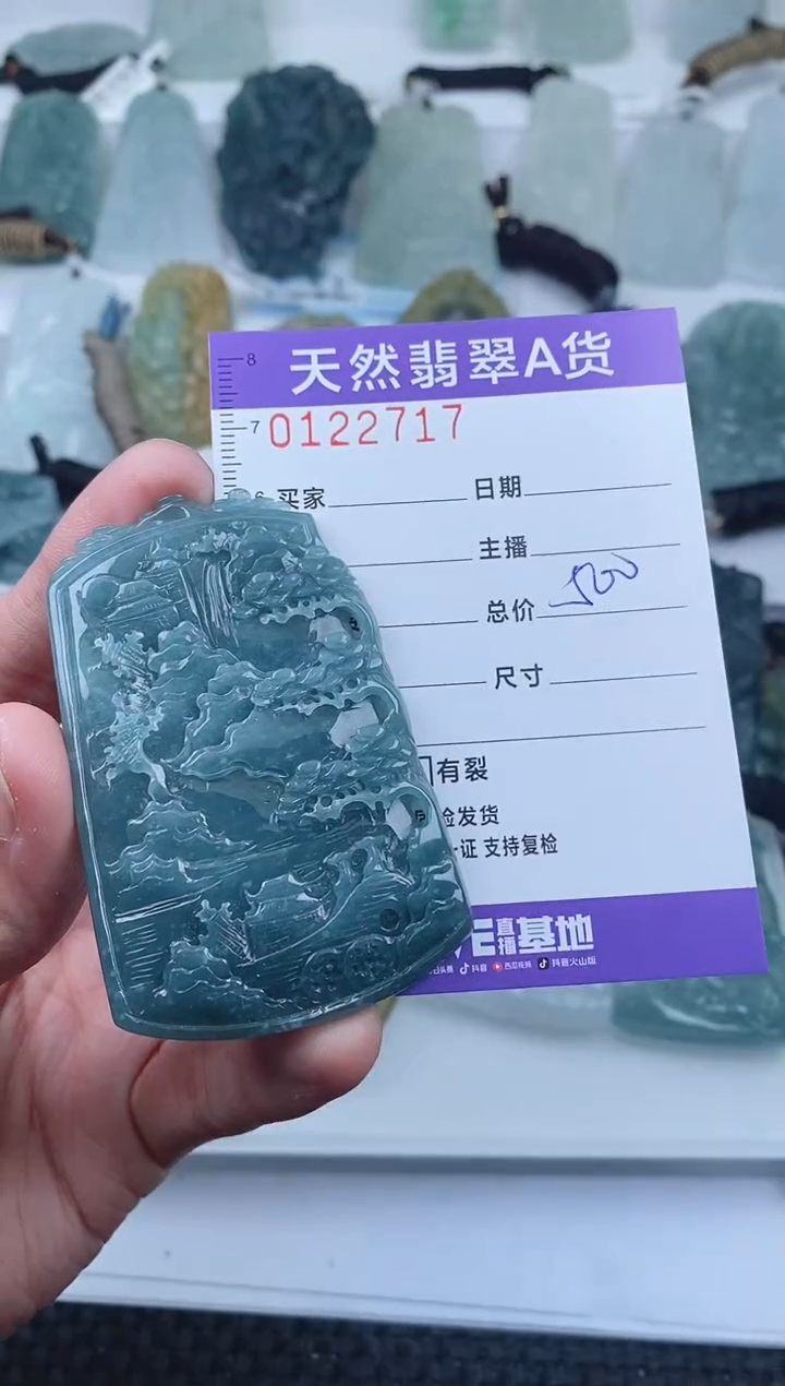 【闪购商品】翡翠颈饰未镶嵌        717