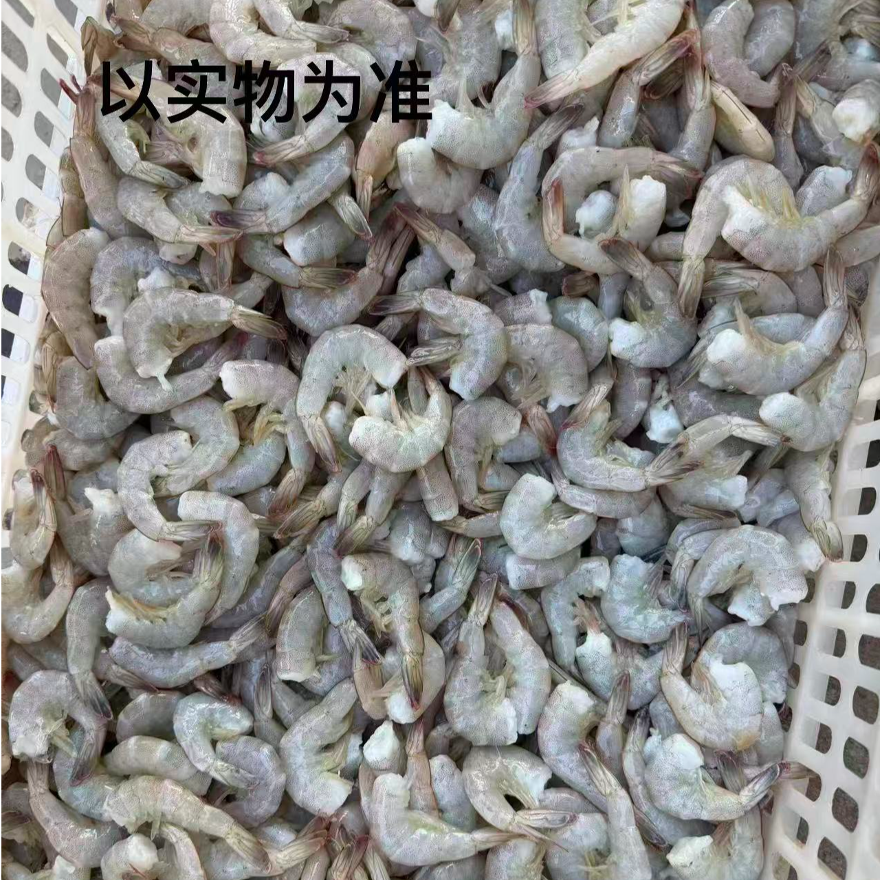 [小龙海鲜 ]本地渤海湾盐田虾 无头 顺丰包邮！（去头）