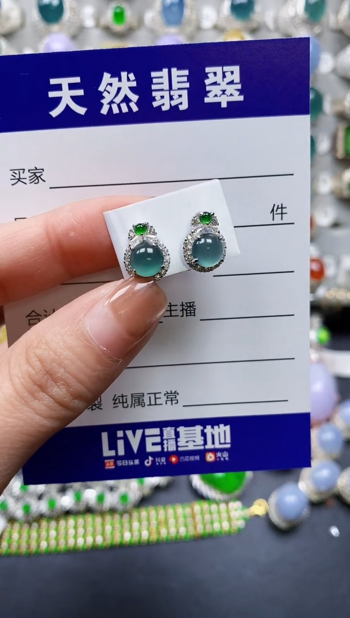 【闪购商品】翡翠耳饰银S925镶嵌0663