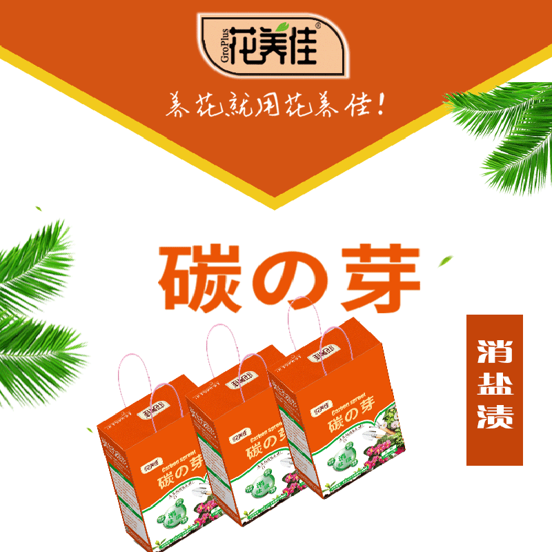 花养佳碳之芽小分子水溶性有机碳消盐渍促绿杆壮促花促枝芽营养液