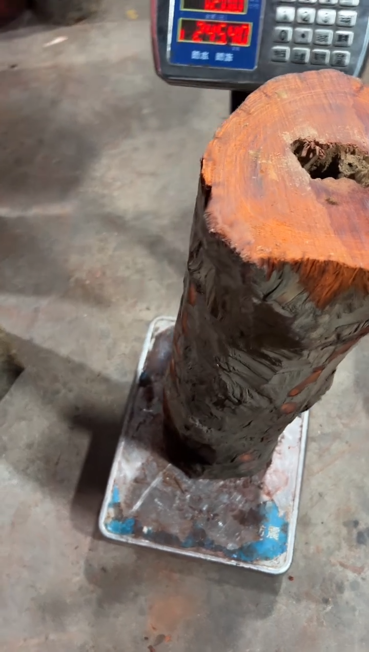 紫檀木类端景台树*赞比亚血檀 非洲紫檀