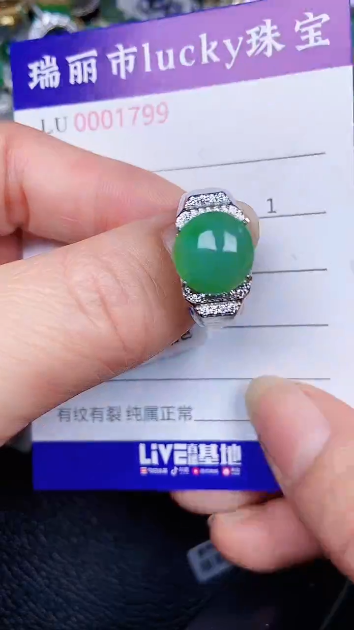 颈饰银S925镶嵌翡翠1799