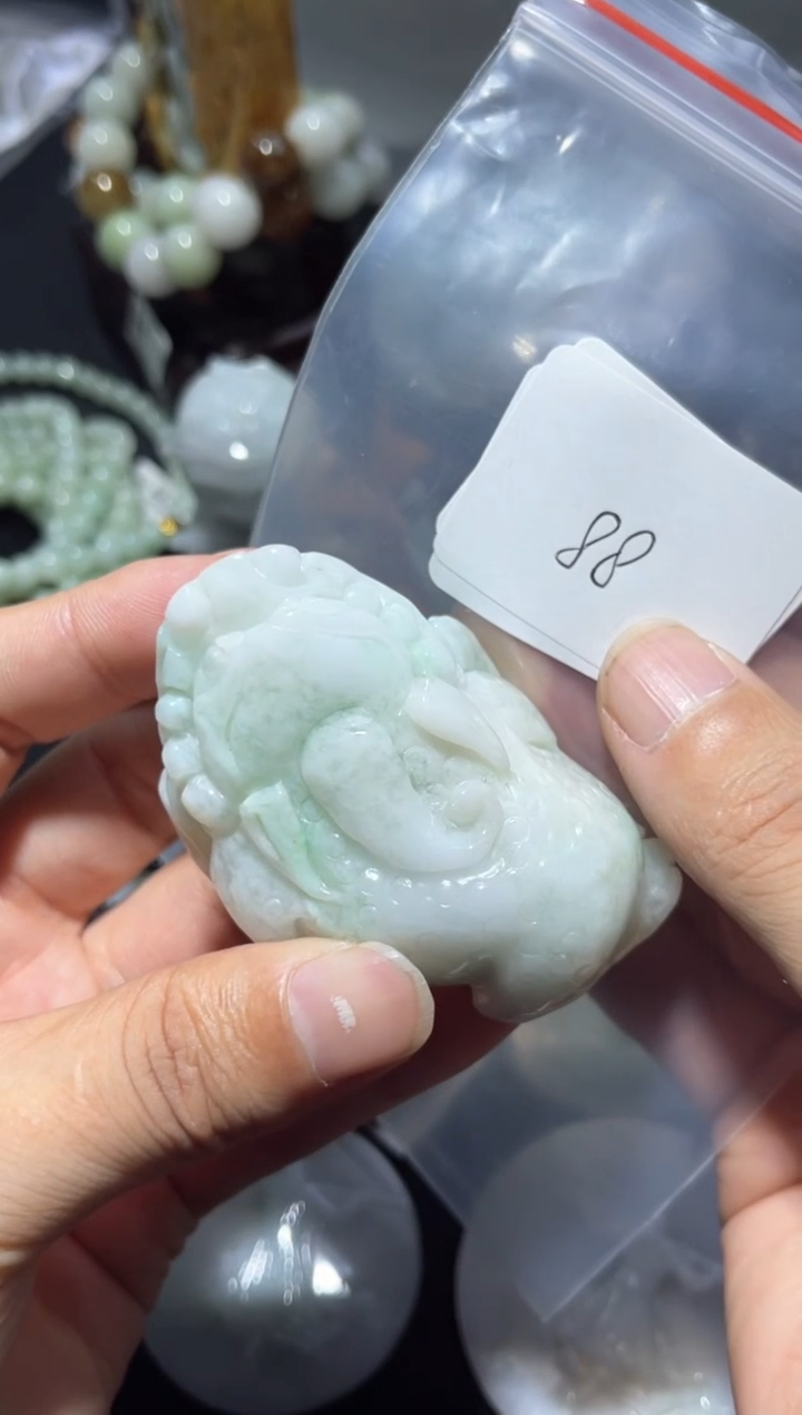 【闪购商品】翡翠颈饰未镶嵌00000088