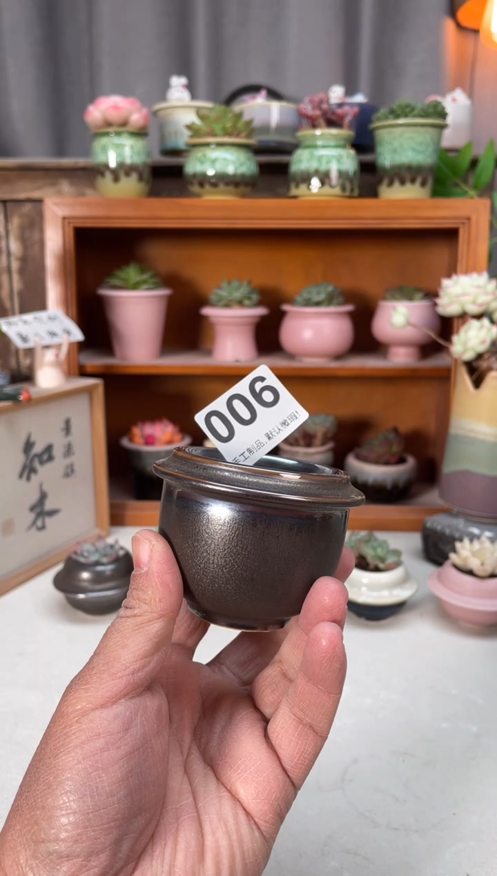 瓷片006小芳直播编号