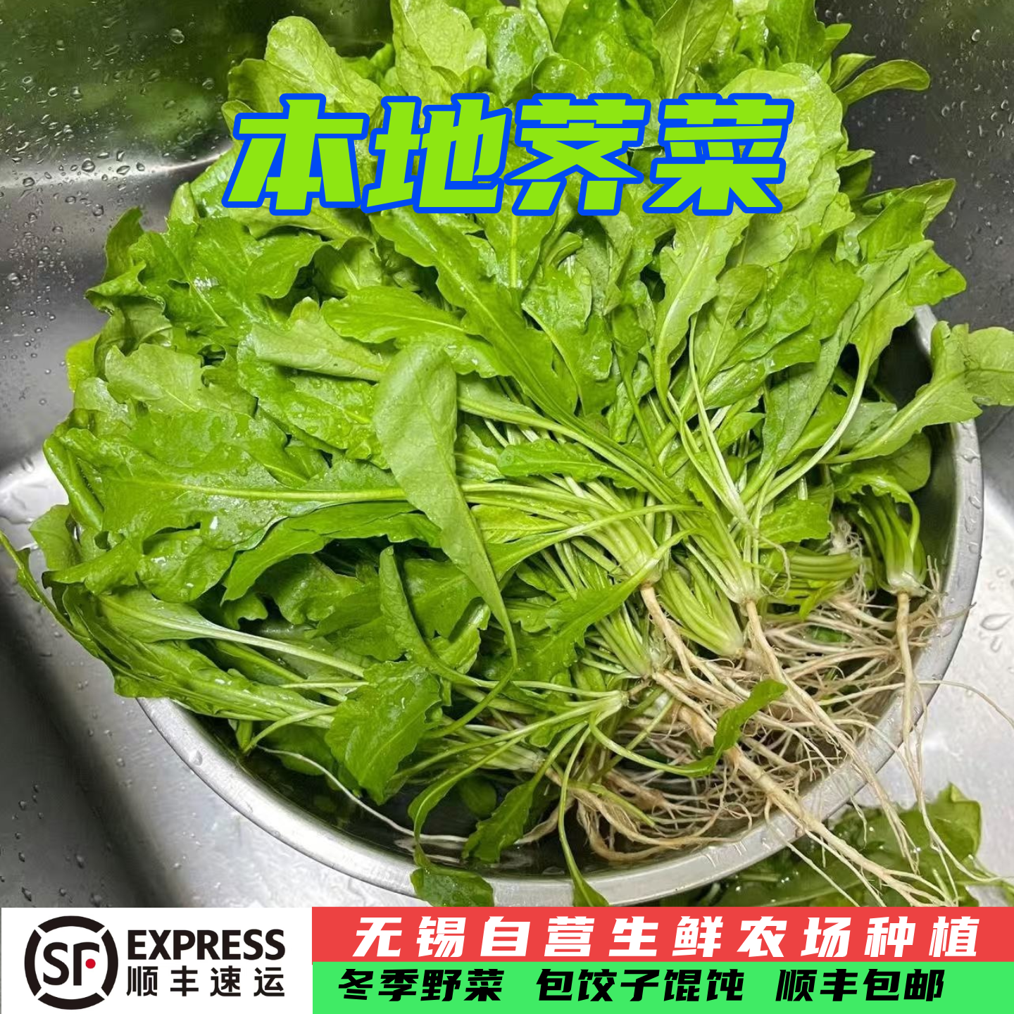 无锡本地荠菜 当天现摘 顺丰包邮鲜荠菜 包饺子馄饨新鲜蔬菜