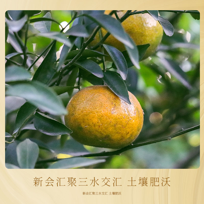 塞口围二红皮碎皮1斤装2025年新皮干皮（碎皮）新会