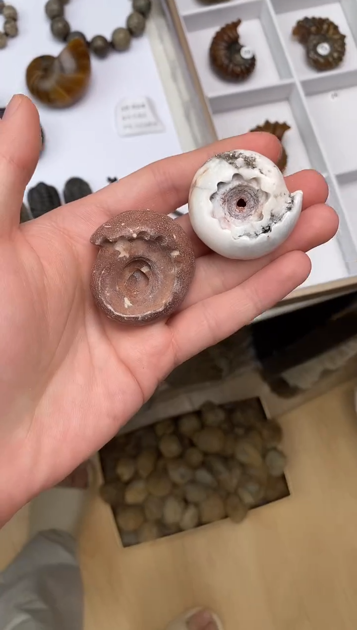 美摆件创意礼物家居配饰新年礼物个人收藏